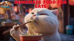 Homemade food for cats