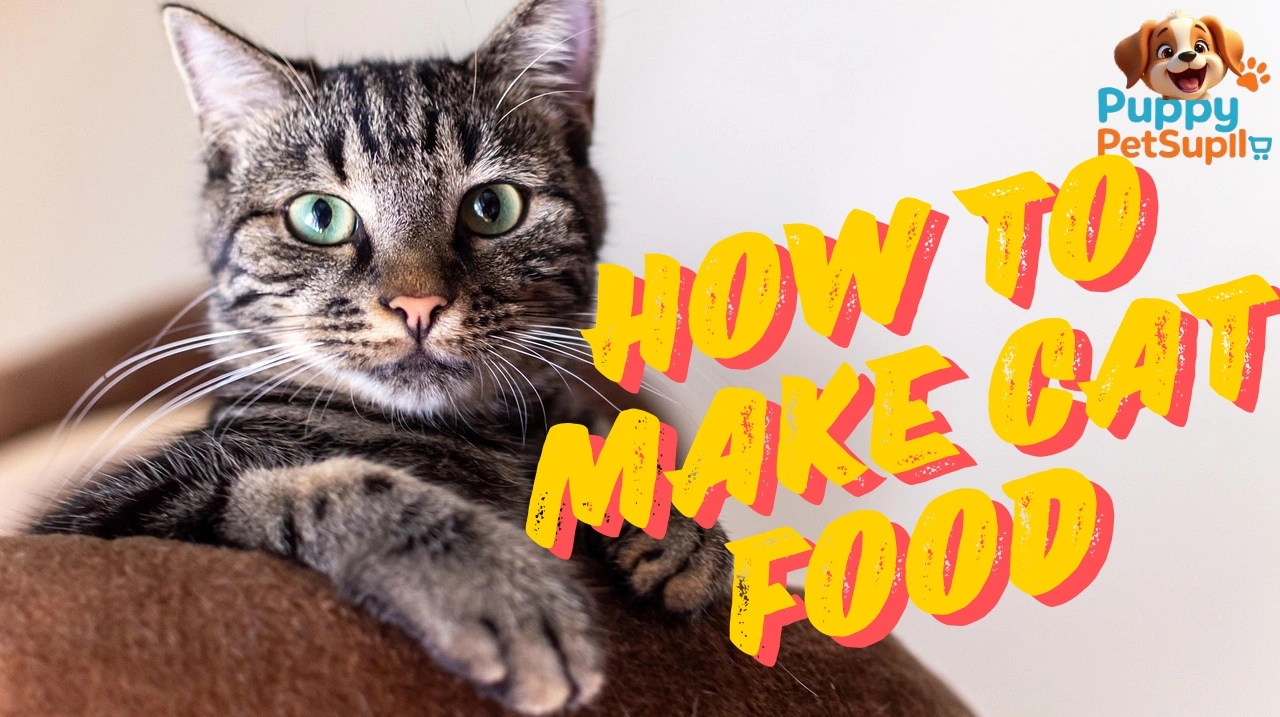How to make cat food