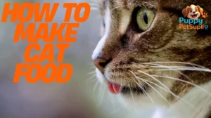 easy, cheap homemade cat food