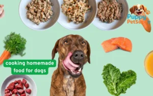 cooking homemade food for dogs