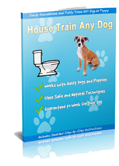 Dog potty training book 1